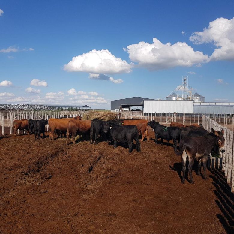 Angus prepara la 20° Prueba Pastoril y el Centenario del aniversario con una gran muestra en la Rural de Palermo