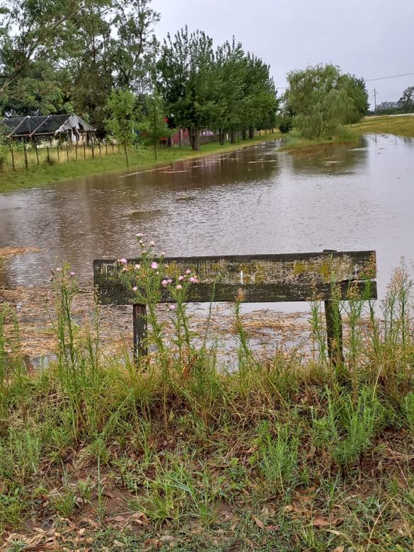 “Con tanta agua no sabés cómo medir”