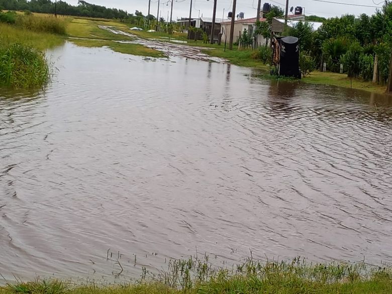 “Con tanta agua no sabés cómo medir”