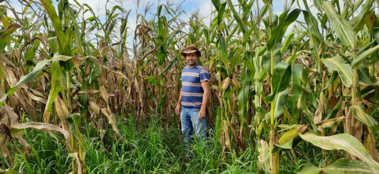 Hernán Torres: El cordobés de General Baldissera que produce en Venezuela. ”La rentabilidad es muy alta, las retenciones no existen”