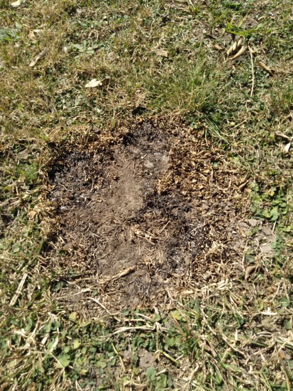 Monte Buey: un extraño fenómeno de luz persigue a un productor rural