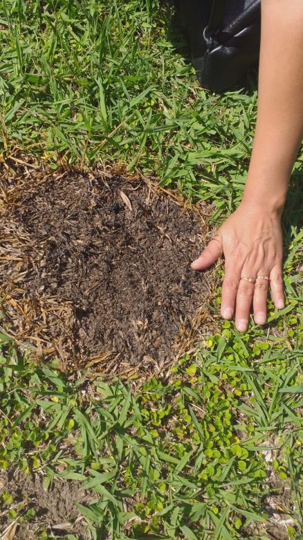 Monte Buey: un extraño fenómeno de luz persigue a un productor rural