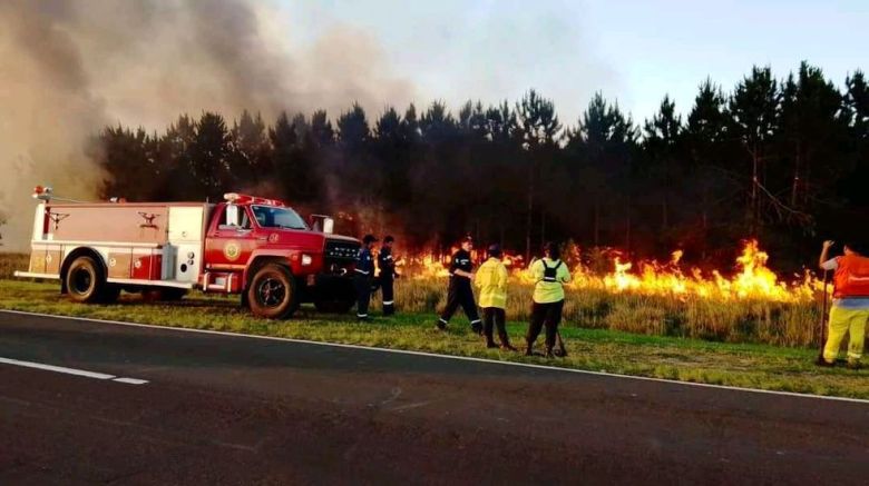 Argentina en llamas: ¿cuáles son las provincias más afectadas por el fuego?