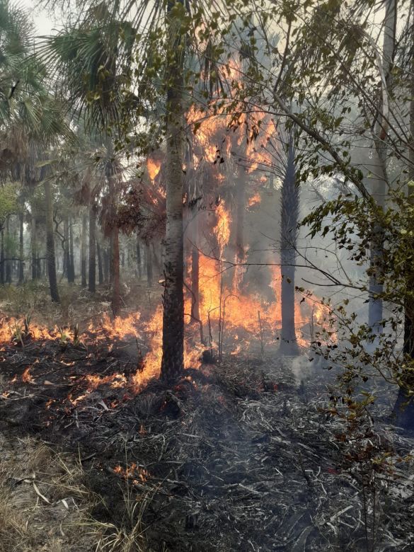 “A pesar de la lluvia, el fuego sigue”