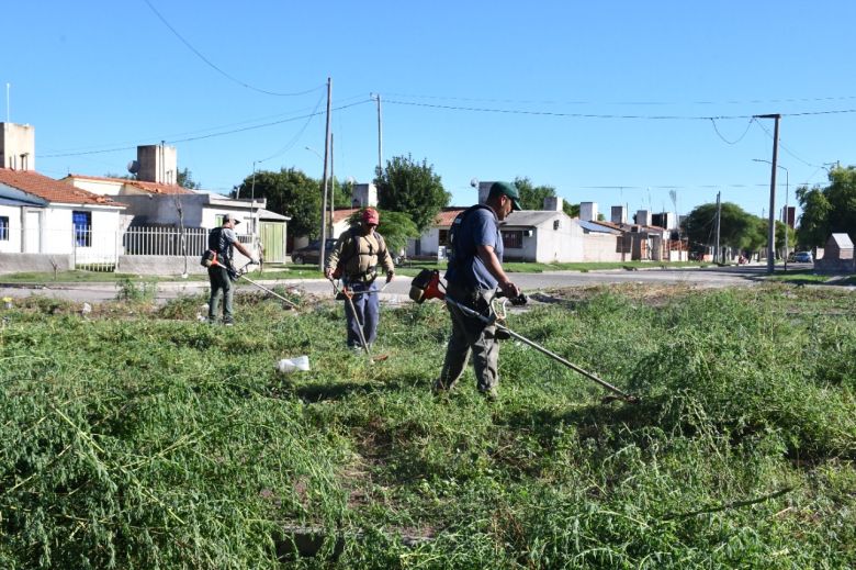 Limpieza en barrio 400 Viviendas