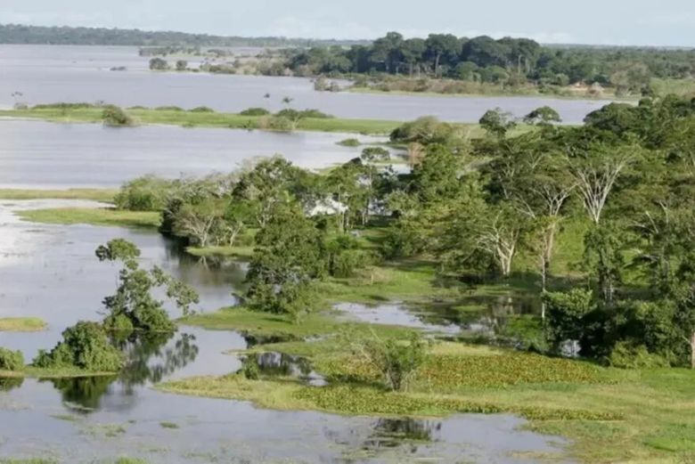 La historia de los niños que sobrevivieron 4 semanas perdidos en el Amazonas