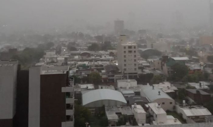 Cayó un árbol sobre un automóvil y hubo varias intervenciones por caída de ejemplares de gran porte