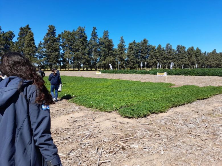 El 30 y 31 de marzo llegan dos días a puro cultivo y economía cordobesa: 9° Circuito del Maní