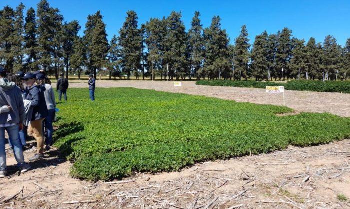 El 30 y 31 de marzo llegan dos días a puro cultivo y economía cordobesa: 9° Circuito del Maní