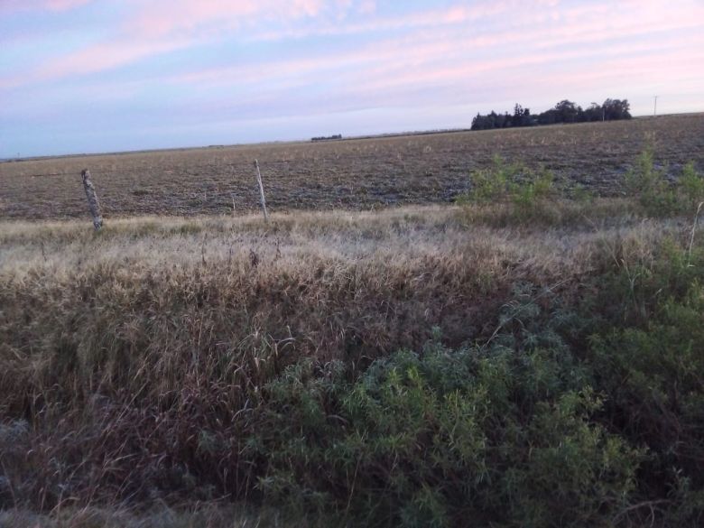 Jueves fresco y los oyentes de LV16 muestran la helada en la zona rural