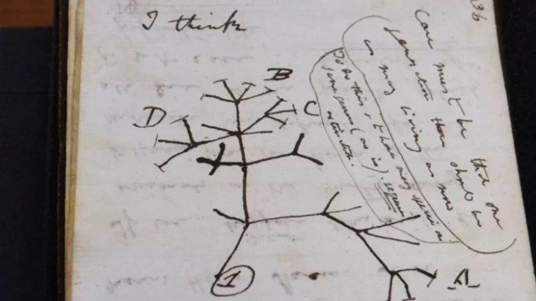 La misteriosa reaparición de dos cuadernos de Darwin fundamendales para su teoría de la evolución robados hace 22 años