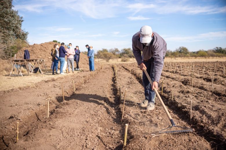 "Forestando Mi Ciudad": este viernes 8 se presenta el programa de forestación en barrio San Eduardo