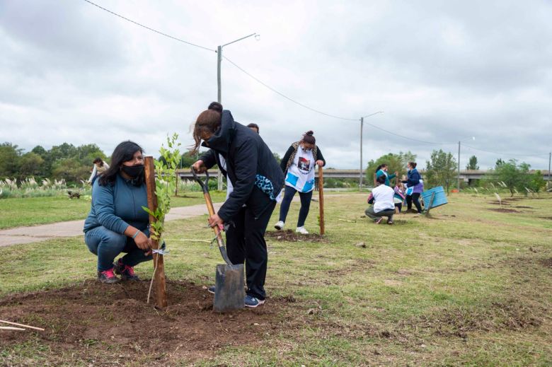 "Forestando Mi Ciudad": este viernes 8 se presenta el programa de forestación en barrio San Eduardo