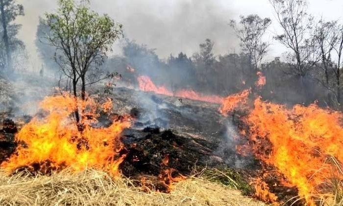 La sequía y el viento propiciaron incendios de pastizales y combates en varios focos