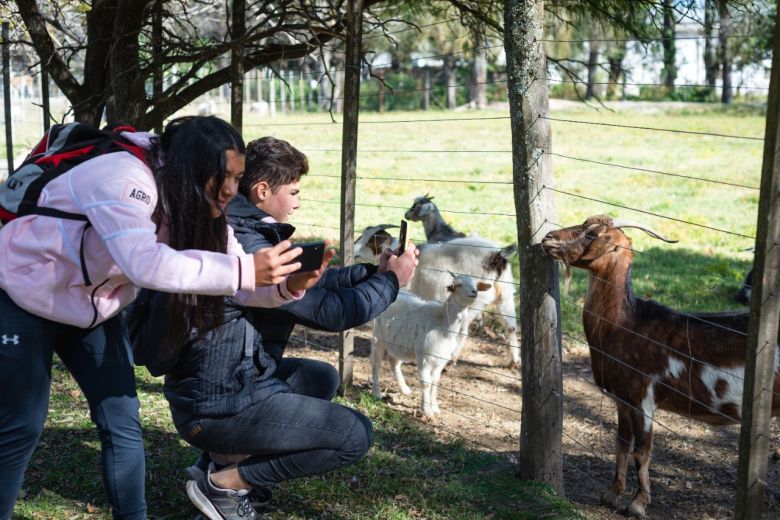 Parque Ecológico: Concientización e intervenciones en el Día del Animal