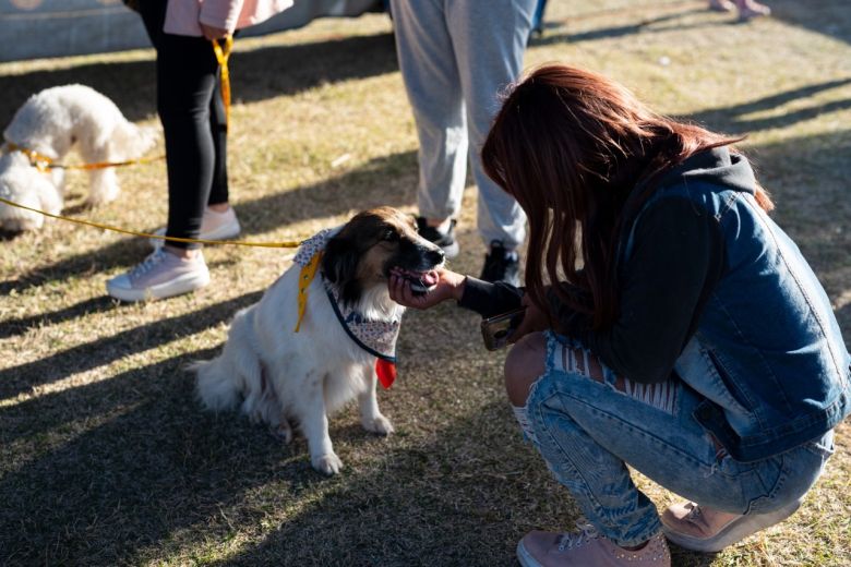 Exitosa jornada y respuesta de los vecinos en los festejos por el día del animal