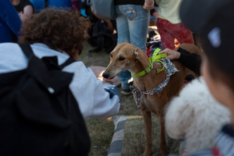 Exitosa jornada y respuesta de los vecinos en los festejos por el día del animal