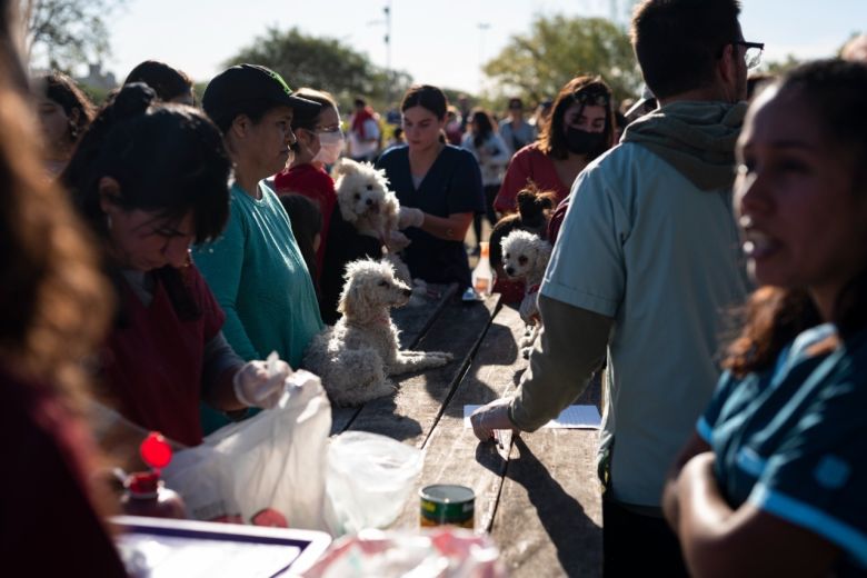 Exitosa jornada y respuesta de los vecinos en los festejos por el día del animal