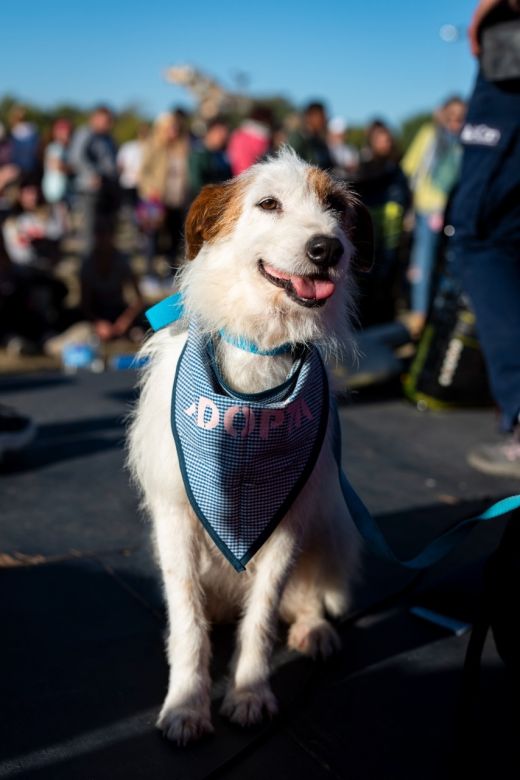 Exitosa jornada y respuesta de los vecinos en los festejos por el día del animal