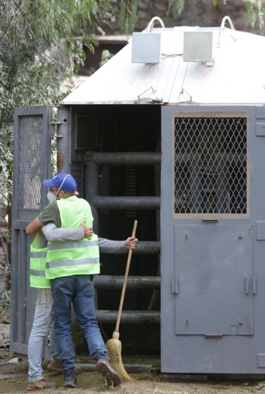 Pocha y Guillermina, dos elefantas mendocinas a punto de lograr su libertad