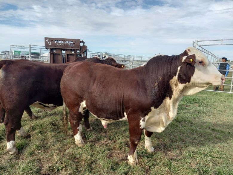 Comienza Agroactiva y Valor Agregado con LV16 te mostrarán todos los detalles de la megaexposición del campo