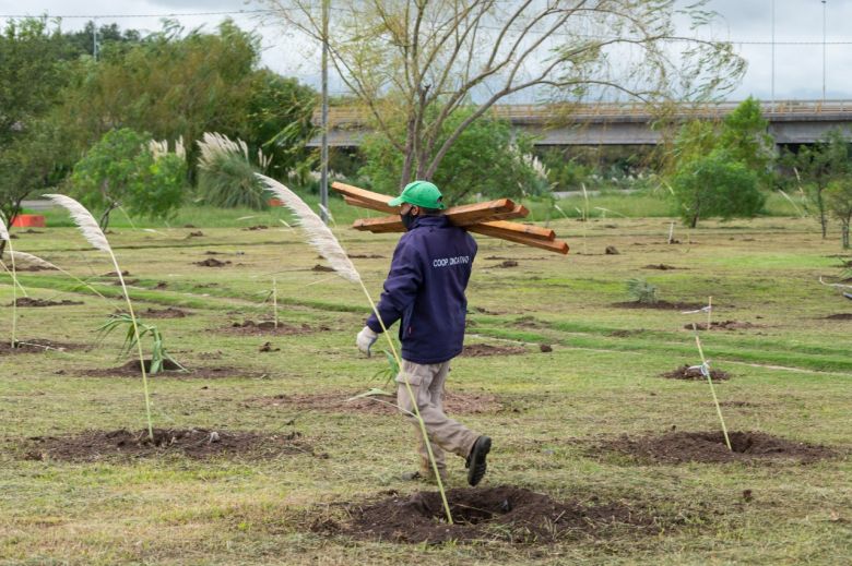 Mes del Ambiente: se realizarán actividades e intervenciones durante todo junio