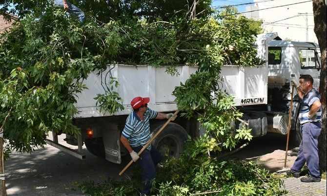 ¿Cómo es la estrategia de poda del arbolado urbano de la ciudad?