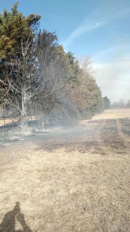 Sofocan incendio forestal a escasos metros de la planta transmisora de LV16