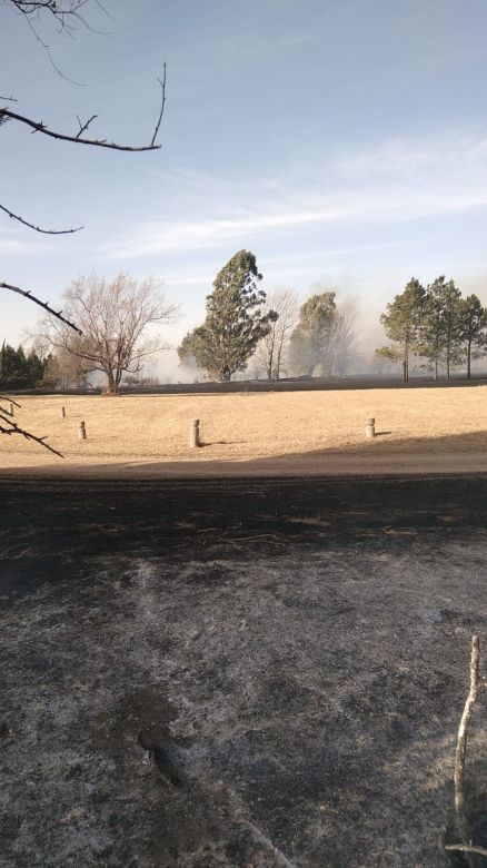 Sofocan incendio forestal a escasos metros de la planta transmisora de LV16