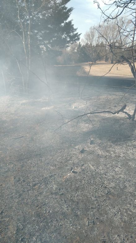 Sofocan incendio forestal a escasos metros de la planta transmisora de LV16