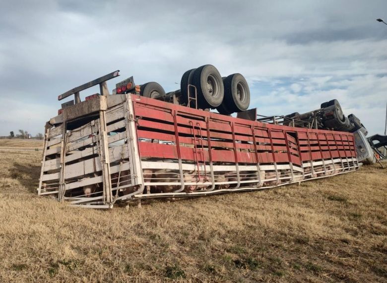 Volcó un camión en Alcira Gigena