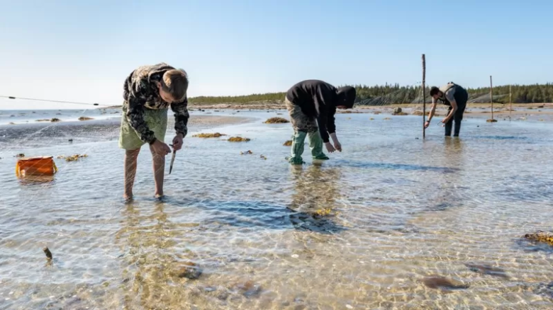 Los sorprendentes beneficios de que los dedos se arruguen en el agua