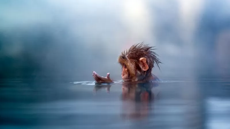 Los sorprendentes beneficios de que los dedos se arruguen en el agua