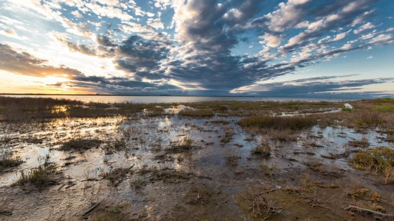 Alejandra Vigo sobre el Parque Nacional Ansenuza: "Es la mejor herencia que podemos dejar"