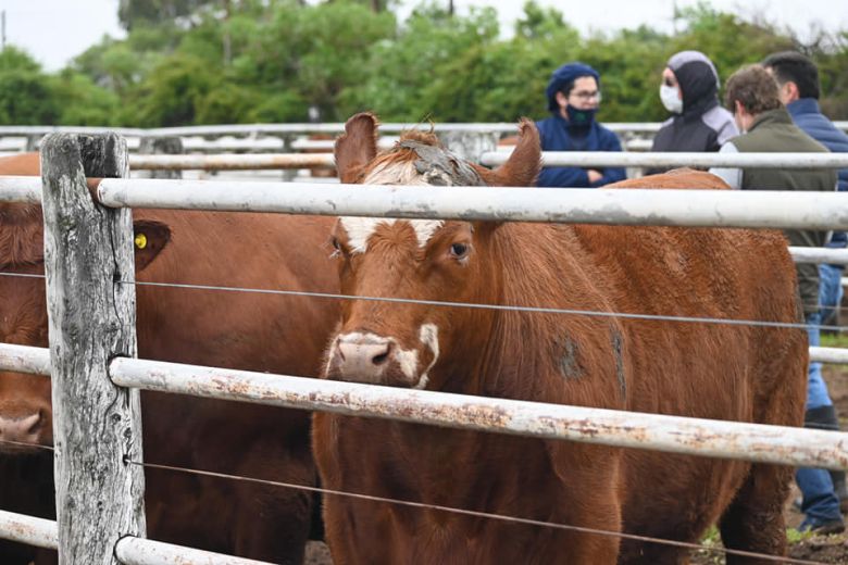 Se viene una nueva edición de la Exposición Rural de Río Cuarto 