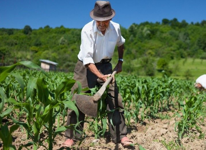 Peones rurales pedirán una paritaria anual del 50% 