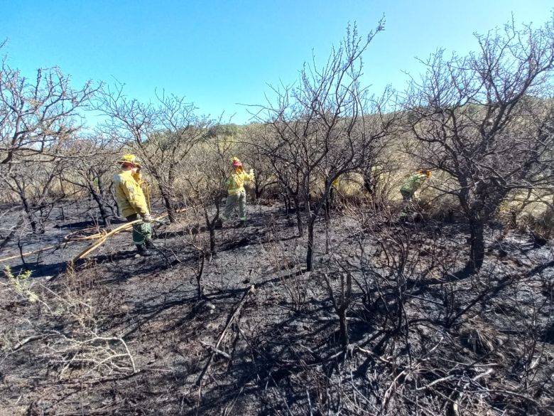 Incendio Forestal en el Mirador del Peñon