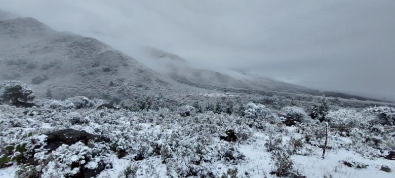 Un Bombero Voluntario con una vida increíble en el cerro Champaquí