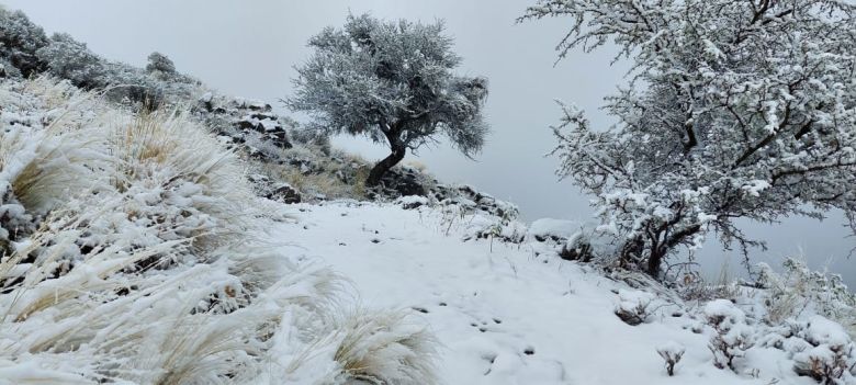 Un Bombero Voluntario con una vida increíble en el cerro Champaquí