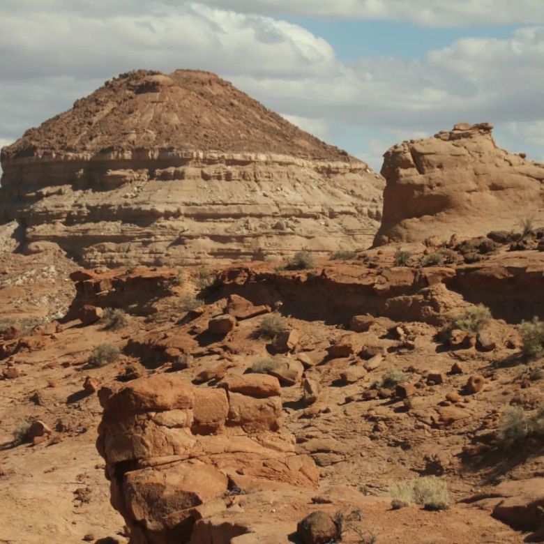 Jakapil kaniukura: el primer dinosaurio acorazado bípedo de Sudamérica