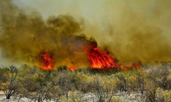 Bombero piromaníaco: tres años de ejecución condicional a un integrante del cuartel de Jovita