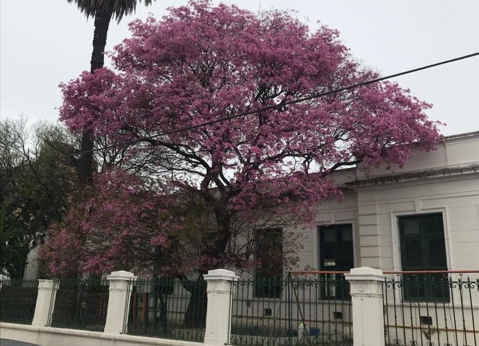 La semana comienza con el ascenso de la temperatura