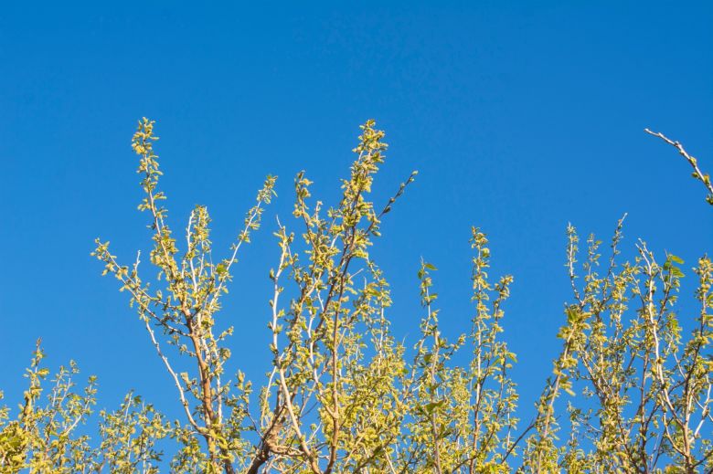 Buen tiempo, con temperaturas agradables 