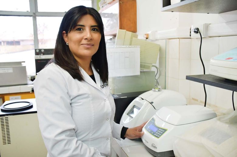 Premio Nacional para la UNRC por un proyecto que potencia el crecimiento del cultivo de la lechuga 