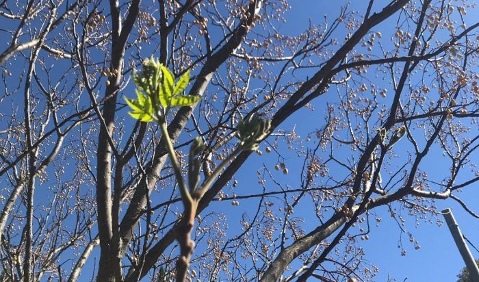 Agosto se despide con temperaturas agradables