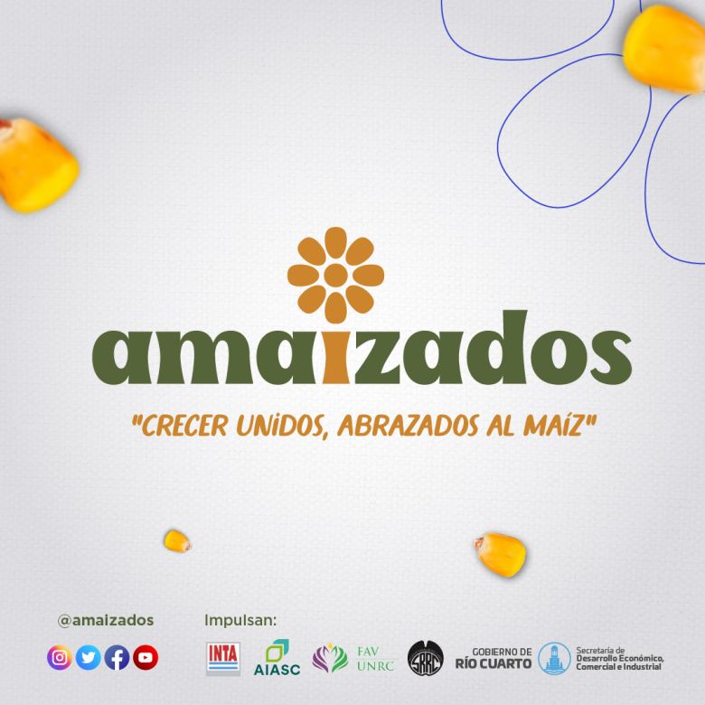 Buscan potenciar el maíz y crean “Amaizados”