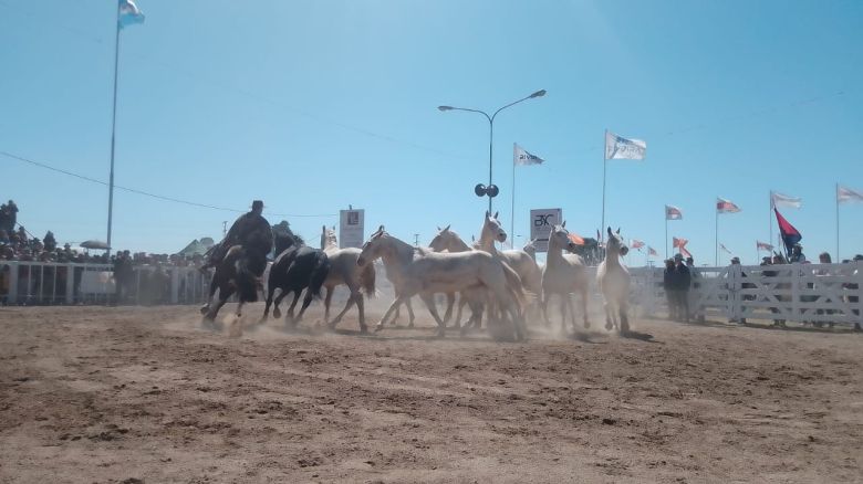 Todas las imágenes de la 88 Exposición Rural de Río Cuarto