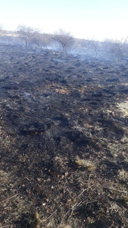 Se quemaron tres hectáreas de monte en Achiras