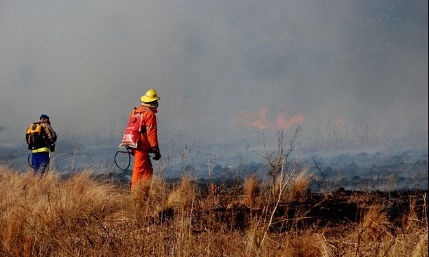 General Deheza: un incendio quemó plantaciones de la aceitera