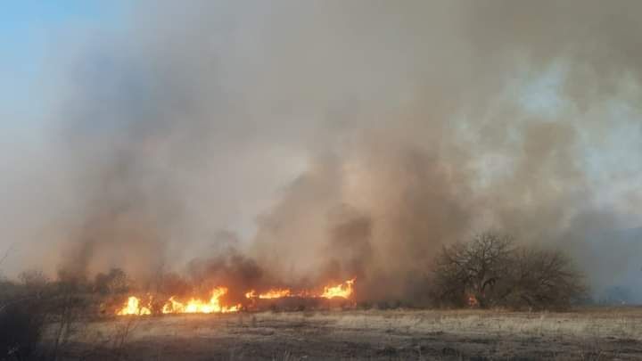 Los incendios en zona de Campo La Piedra y Rodeo Viejo están extinguidos